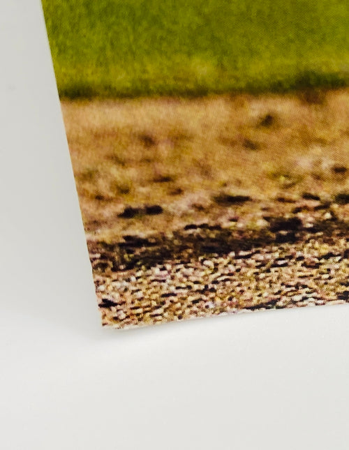 Aaron Judge Signed 8x10 Photo With COA (PC486008) (Yankees)