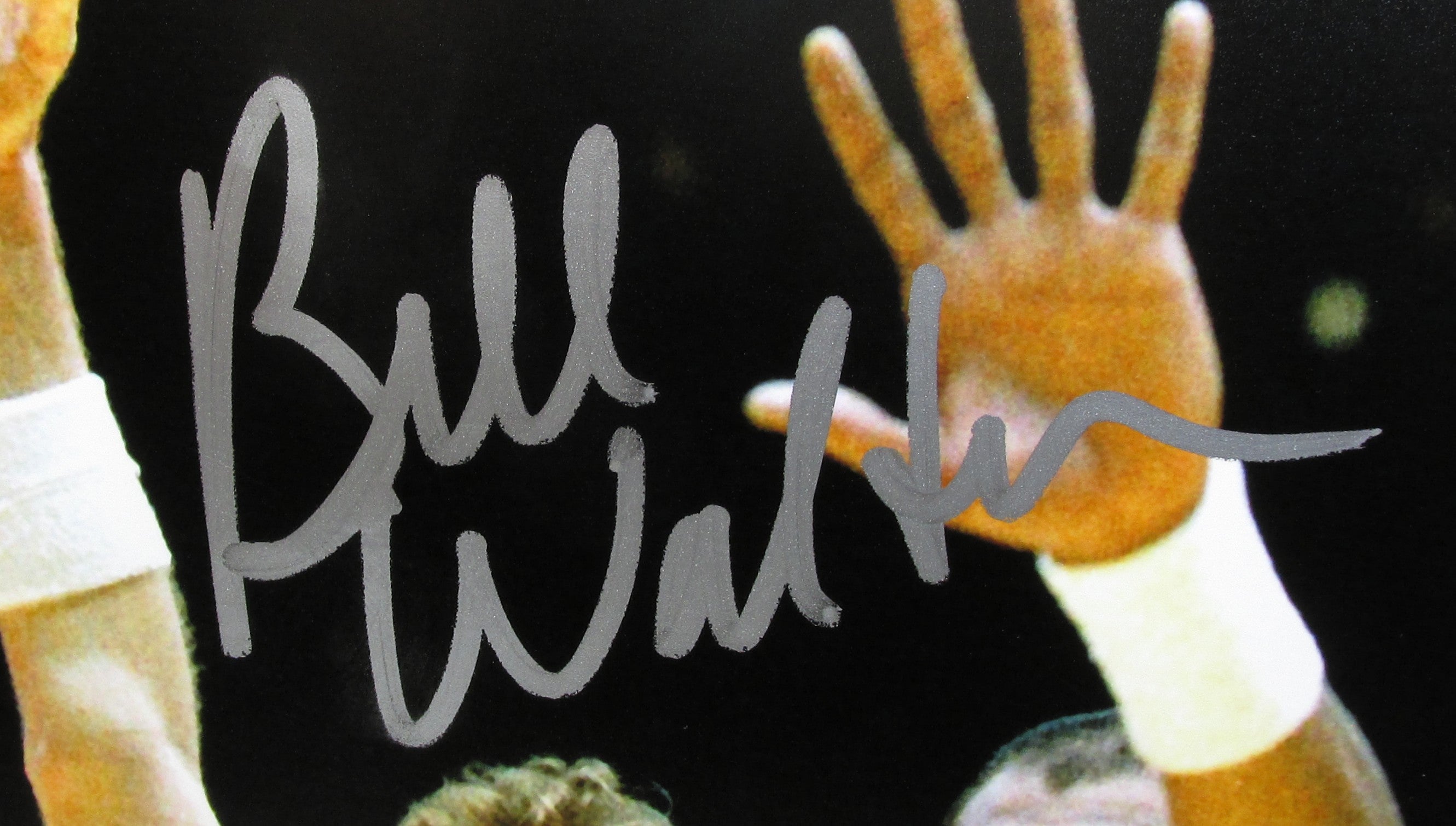 Bill Walton Signed 8x10 Photo With COA (PC605316) (Celtics)