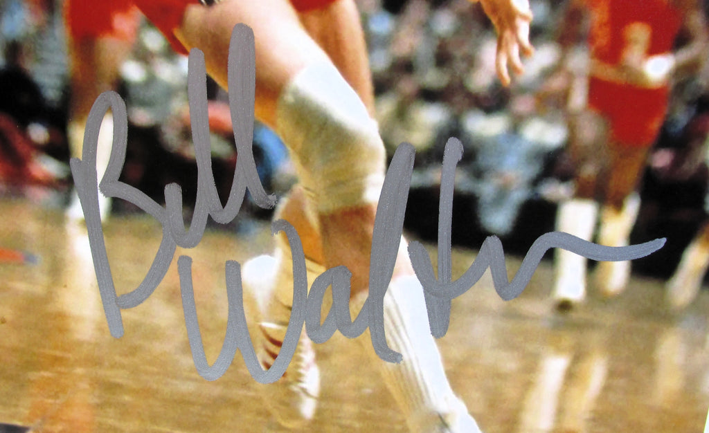 Bill Walton Signed 8x10 Photo With COA (PC605320) (Blazers)