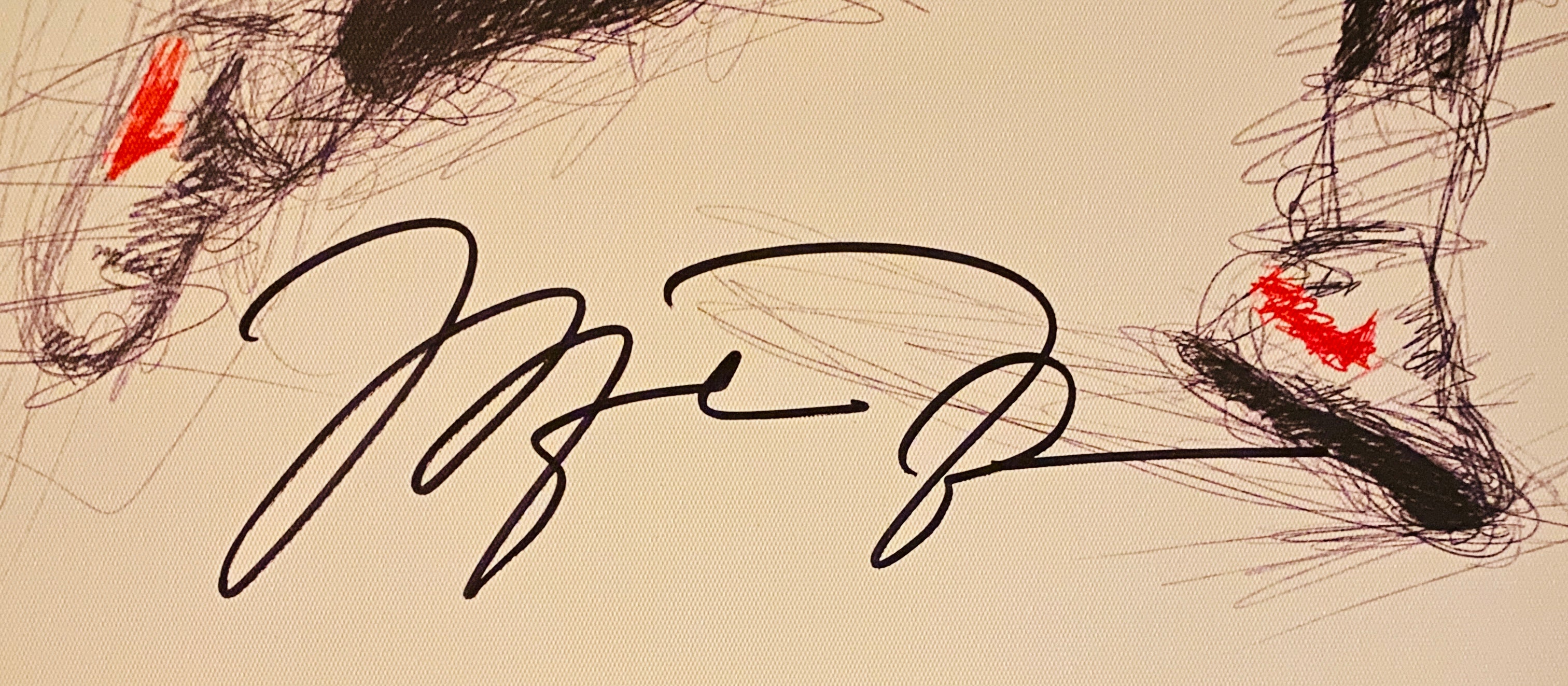 Michael Jordan Signed 20x16 Canvas With COA (2371783) (Bulls)