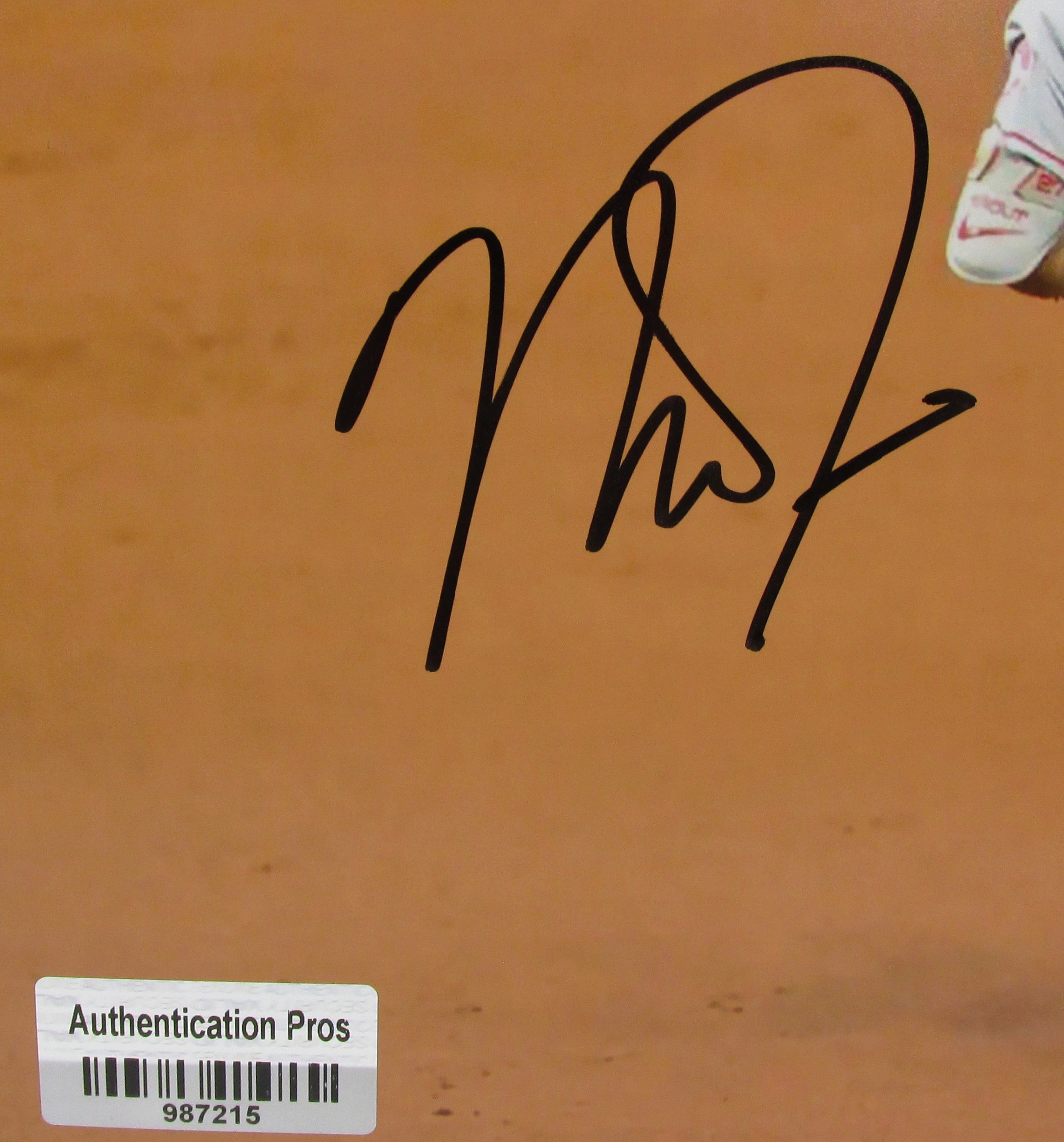 Mike Trout Signed 8x10 Photo With COA (987215) (Angels)