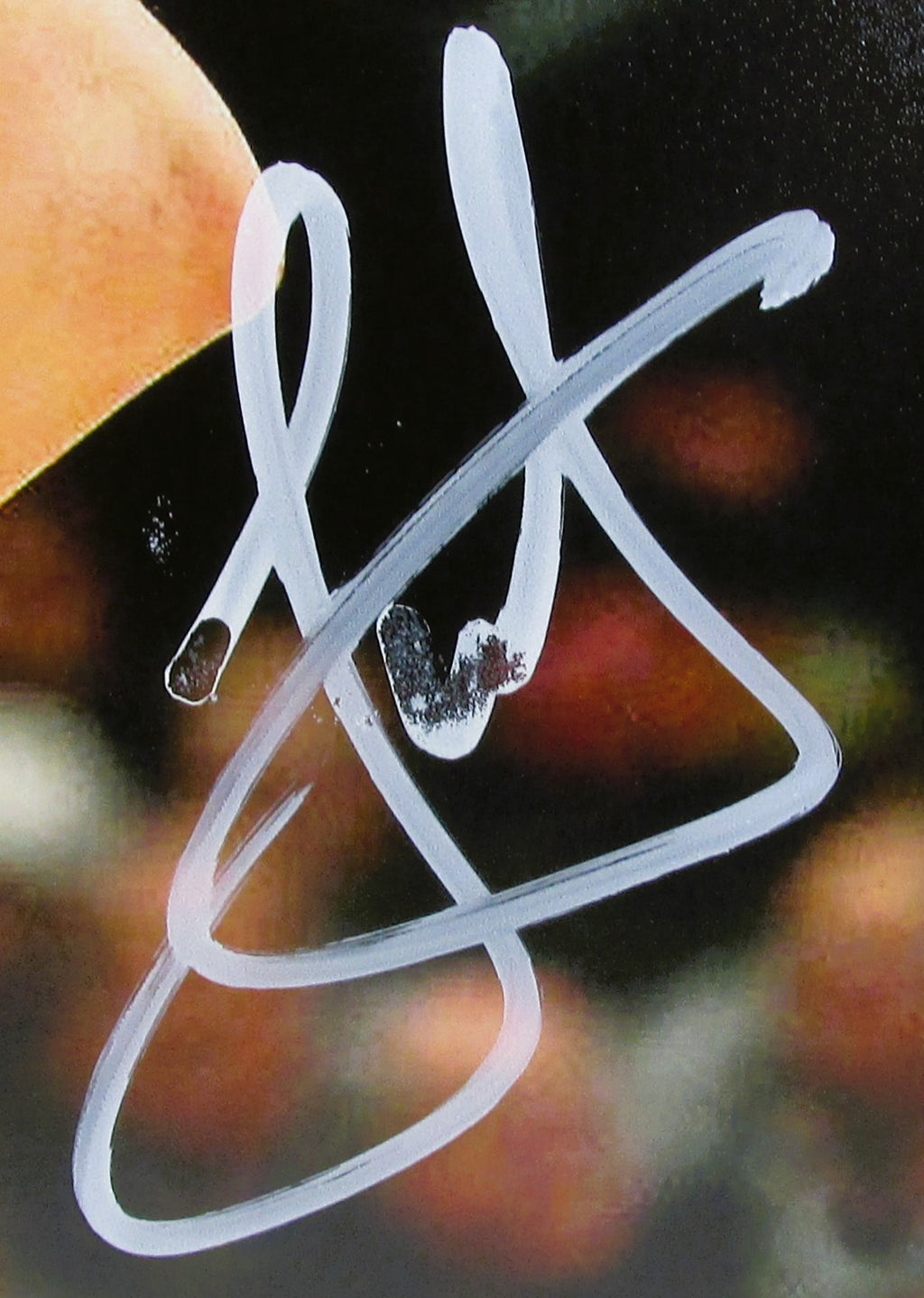 Nikola Jokic Signed 8x10 Photo With COA (2373192) (Nuggets)