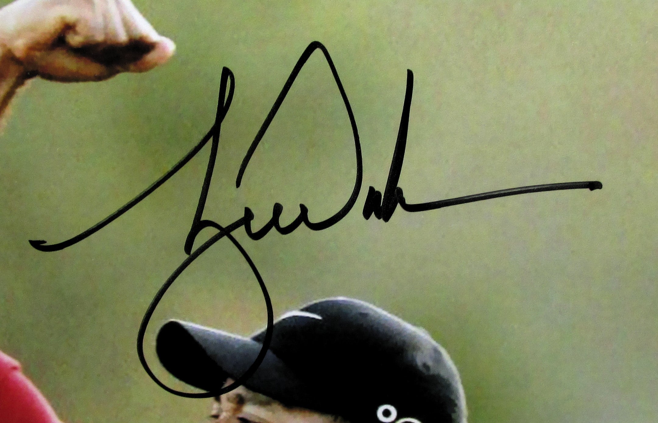 Tiger Woods Signed 8x10 Photo With COA (987416)