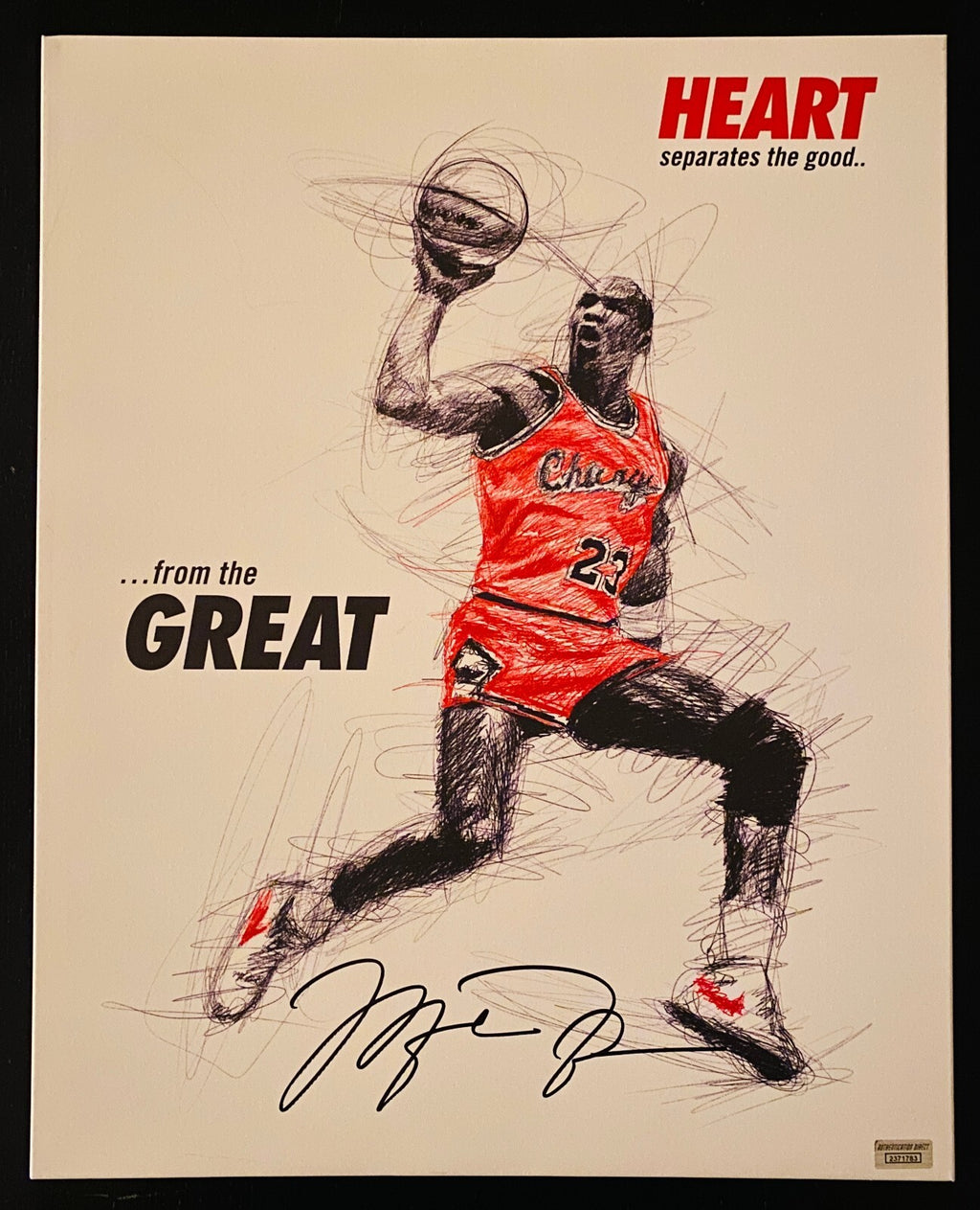 Michael Jordan Signed 20x16 Canvas With COA (2371783)